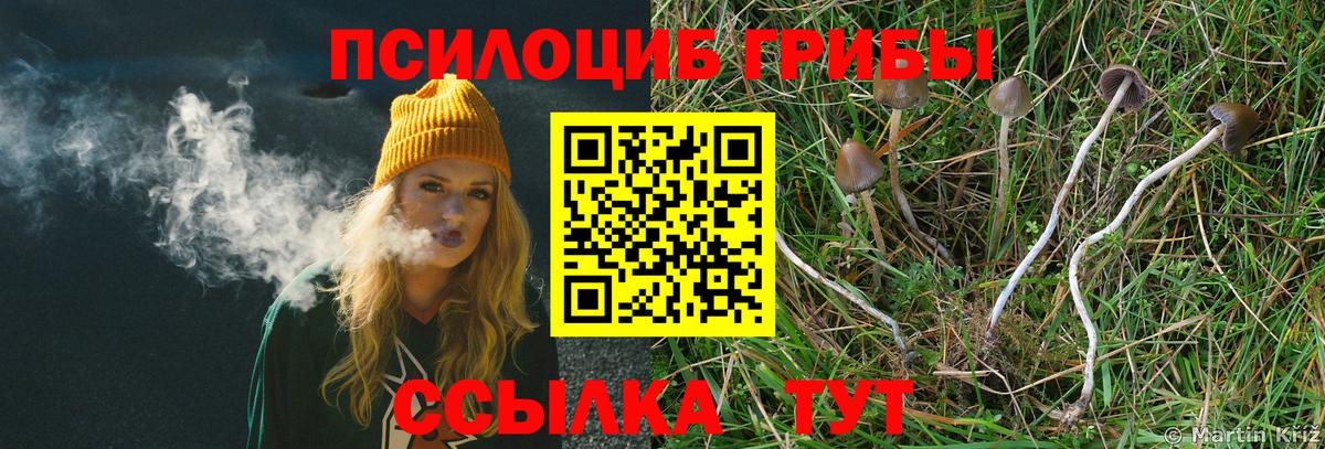 Галлюциногенные грибы Cubensis Ишимбай