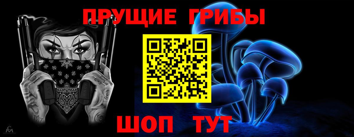 Ишимбай  что такое   Вход с VPN  Псилоцибиновые грибы Cubensis 
